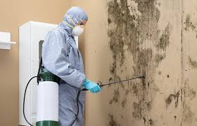 Best Industrial Mold Remediation  in New Hampton, IA